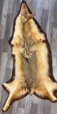 Taxidermy coyote rug for sale  Prairieville