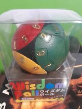Wisdom ball rompicapo usato  Torino
