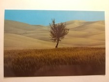 franco fontana fotografo usato franco fontana fotografo usato Rubiera