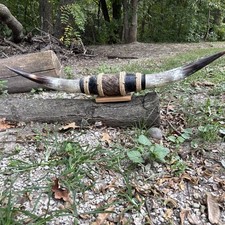 Mounted steer horns for sale  Lawson