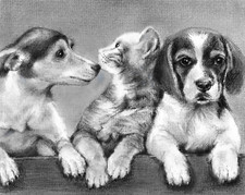jack russel d'occasion jack russel d'occasion Expédié en Belgium
