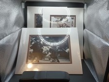 Pictures rose gift for sale  Beardstown