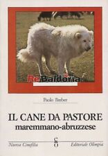 Cane pastore maremmano usato  Vicenza