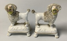 poodles for sale poodles for sale EXETER