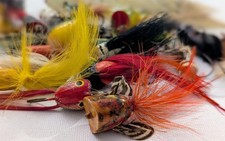 Lot bass fishing for sale  East Setauket
