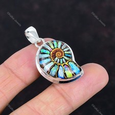 Multi shade ammonite d'occasion  Expédié en Belgium