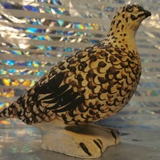 Ptarmigan grouse oisin for sale  CARRICKFERGUS