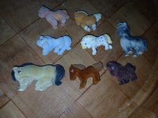Miniature horses for sale  TELFORD