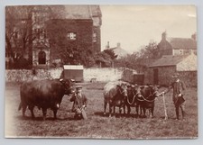 C1920 photo prize for sale  Petaluma