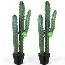 Inch artificial cactus for sale  Brentwood