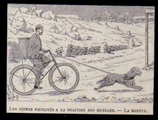 1894 chiens employed d'occasion  Expédié en Belgium