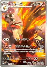 Blaziken 101 098 gebraucht kaufen  Halle