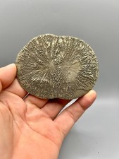 Rare double perfect for sale  Sparta