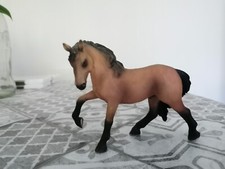 Stallone andaluso miniatura usato  Treviso Bresciano