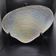 Gorgeous ivory iridescent for sale  Lafayette