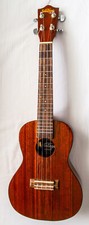 Vintage electric accoustic for sale  CANTERBURY