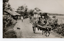 Vintage real photographic for sale  LOANHEAD