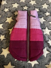 Xxs pink dog for sale  GLOSSOP