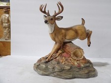 Ski country whitetail for sale  Turners