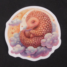 Cute armadillo sleeping for sale  Mound City