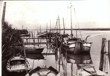 Gorino viaggiata 1974 usato  Italia