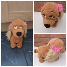 Lucy dog for sale  KIDDERMINSTER