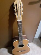 Chitarra ferrarotti usato  Torino
