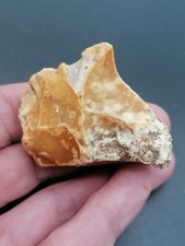 Neanderthal middle paleolithic d'occasion  Bonneville