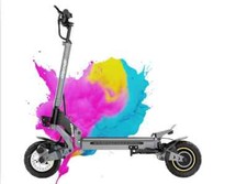 Ienyrid trottinette électriqu d'occasion  Bischheim