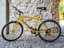 Mtb raleigh max gebraucht kaufen Mtb raleigh max gebraucht kaufen  Emmendingen