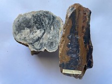 Pcs lot petrified for sale  Temecula