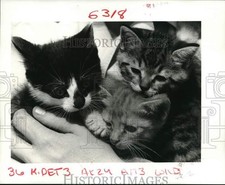 1986 press photo for sale  Memphis