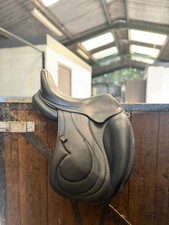 Antares cadence dressage for sale  GLOUCESTER