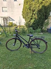 Pegasus avanti classico gebraucht kaufen  Nürnberg