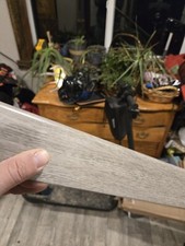 Sea oat laminate for sale  Halfway