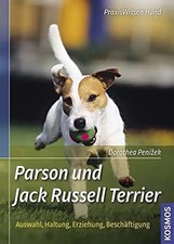 Parson jack russell gebraucht kaufen  Berlin