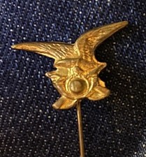 Alpini spilla fregio usato  Boves