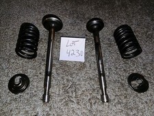 Vintage briggs stratton for sale Vintage briggs stratton for sale  Trail
