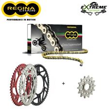 Kit trasmissione catena usato  Soveria Mannelli