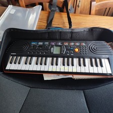 Casio tastiera mini usato  Torre Canavese