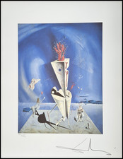 Salvador dali apparatus gebraucht kaufen  Mönchengladbach