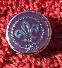 Scout vintage purple for sale  TARPORLEY
