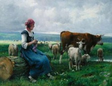 Farm lady cattle for sale  Ahsahka