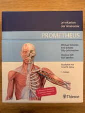 Prometheus lernkarten anatomie gebraucht kaufen  Deutschland