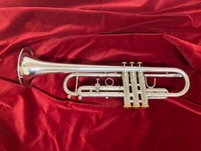 Tromba sìb colore usato  Valvestino