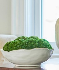 ceramics business home for sale ceramics business home for sale Lynn