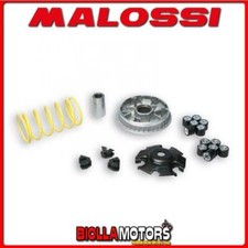 5113134 variatore malossi usato  Trapani