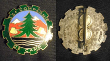 Insigne militaire compagnie d'occasion  Meung-sur-Loire