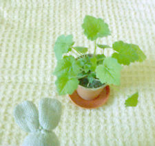 One green piggyback for sale  BRIDPORT
