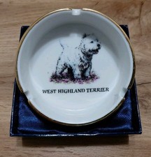 scotland terrier for sale scotland terrier for sale BOLTON